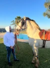 Horse Riding in Rabat